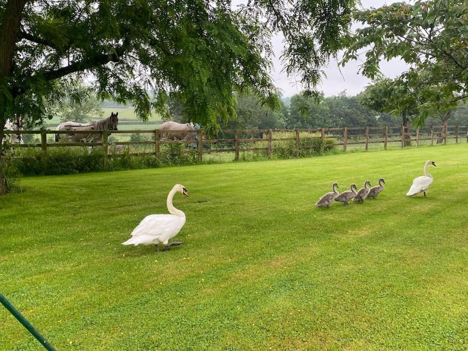 Barn Conversion On Working Farm * Worcester